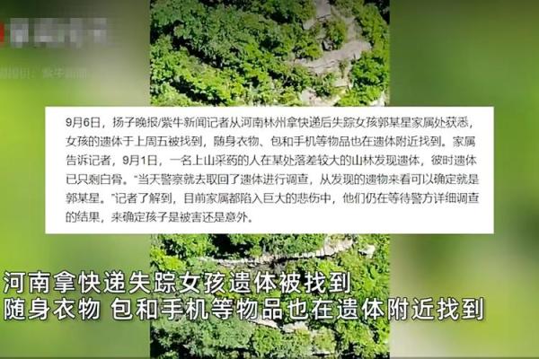 快递丢了怎么办？教你快速解决失踪快递的有效方法