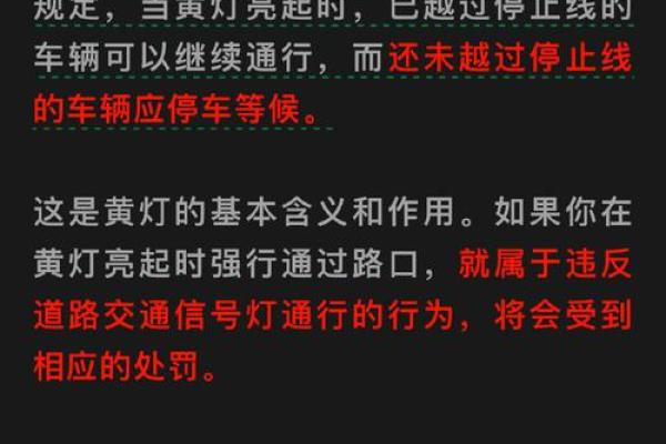 闯黄灯的法律后果与处罚措施解析